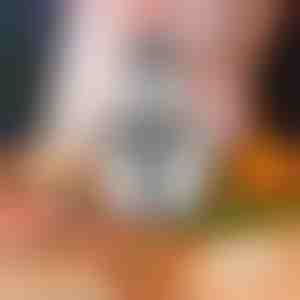 Multifunkční kuchyňský mixér | MULTIMINCER