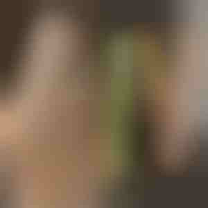 Kulma a žehlička na vlasy TWISTLINE