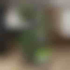 Stojan na květináče | POTSTAGE