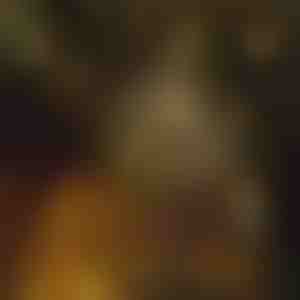 Světelný řetěz ve tvaru hvězd (6 m) | STARYGLOW