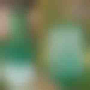 Opakovaně použitelná závěsná past na mouchy a hmyz | INSECTA