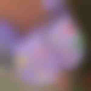 Vánoční svítící klipy na boty (7ks) | SHINETAGS