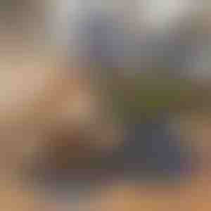 Skládací miska 2 v 1 na vodu a krmivo | WOOFDISH