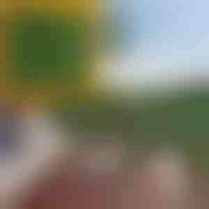 Panel pro ochranu soukromí s umělými listy | LEAFPANEL