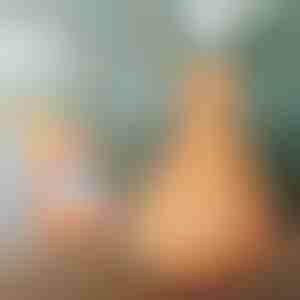 Dřevěný zvlhčovač vzduchu | HUMISTER