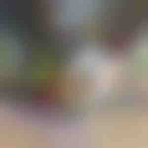 Sekáček a kráječ zeleniny 12 v 1 | CHOPMASTER