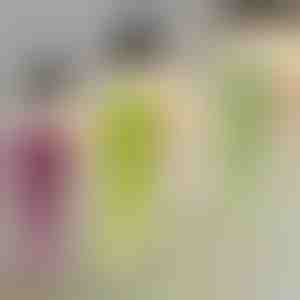 Dekorativní závěsná rostlina | IVYORA