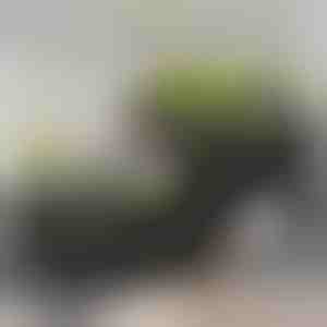 Box na pěstování | BOTANITKO