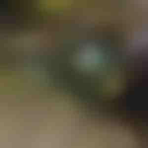 Skládací vozík | TROLLYFOLD