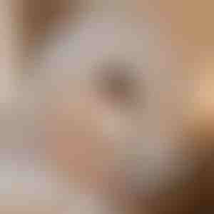 Stan na spaní proti komárům, který vás ochrání | BUGISTOP