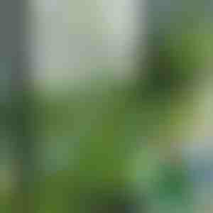 Dekorační dlaždice z umělé trávy (5 ks) | GRASSTILE