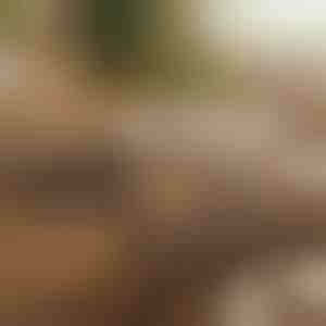 Magnetický samolepicí organizér kabelů (12 kusů) | CABLIP