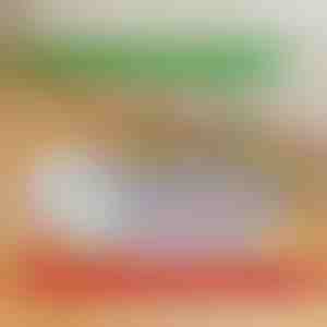 Znovupoužitelné nepropustné podložky pro štěňata | PAWSORB